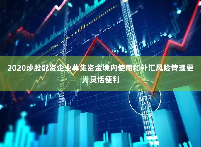 2020炒股配资企业募集资金境内使用和外汇风险管理更为灵活便利
