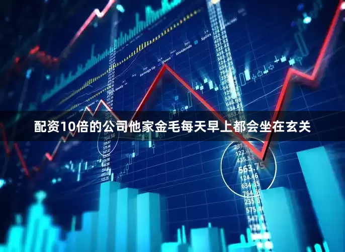 配资10倍的公司他家金毛每天早上都会坐在玄关