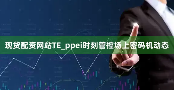 现货配资网站TE_ppei时刻管控场上密码机动态