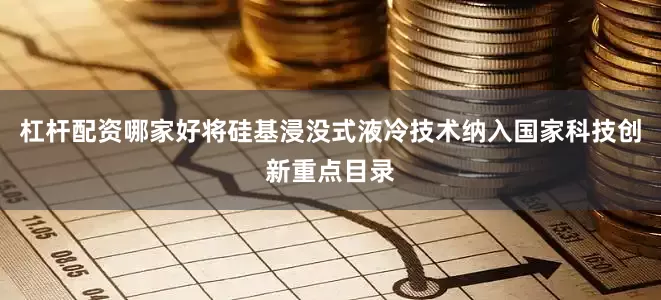 杠杆配资哪家好将硅基浸没式液冷技术纳入国家科技创新重点目录