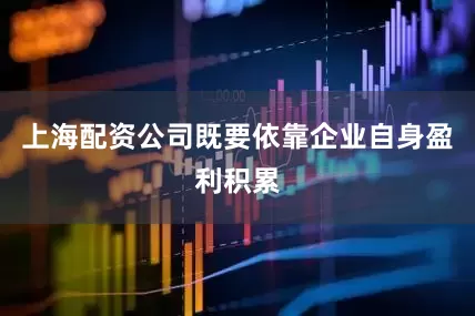 上海配资公司既要依靠企业自身盈利积累